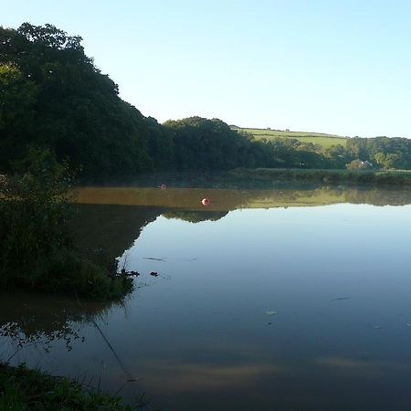 Rumleigh Farm Bere Alston 外观 照片