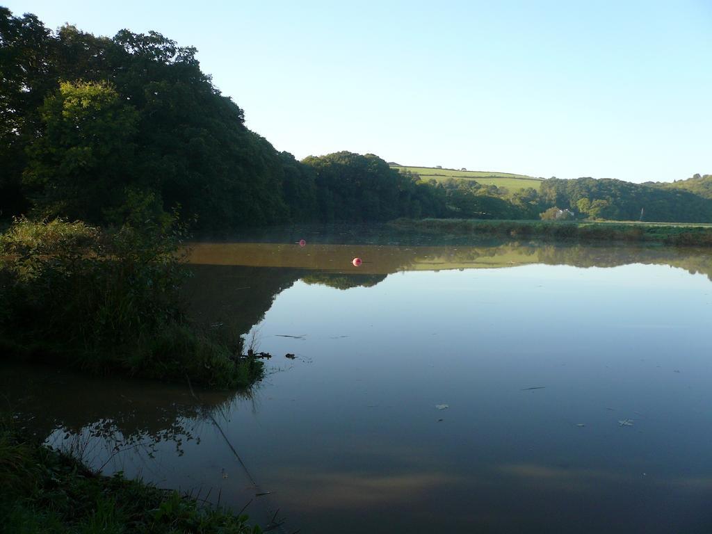 Rumleigh Farm Bere Alston 外观 照片